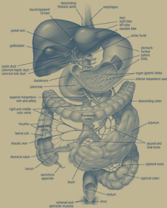 GI disorders